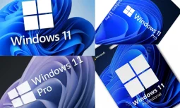 Win 11 Pro Lisansı Neden Gereklidir?